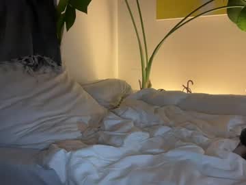 Nocphat August 20, 2025 Chaturbate stream image