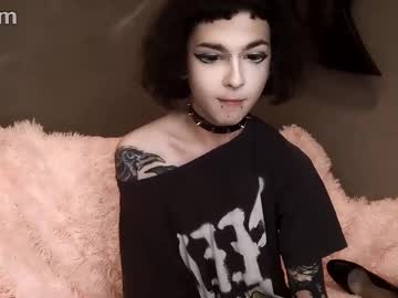 Dandelion_Sea August 20, 2025 Chaturbate stream image