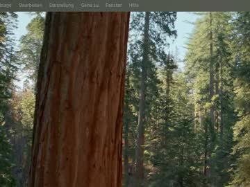 Mlinca August 21, 2025 Chaturbate stream image