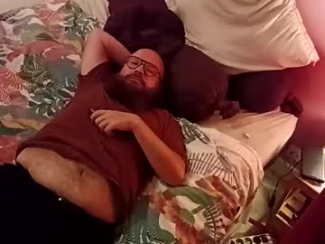 Shybear206 August 22, 2025 Chaturbate stream image