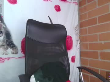 Kitty_Moon2 August 22, 2025 Chaturbate stream image