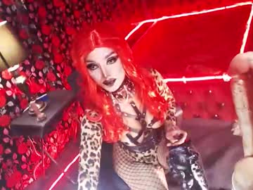 _Hailyourqueenx August 23, 2025 Chaturbate stream image