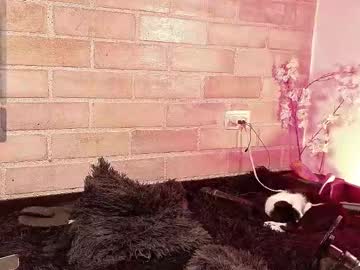 Abbeey_ August 25, 2025 Chaturbate stream image