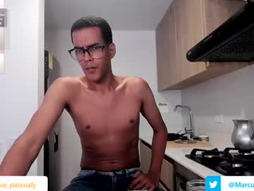 Pikashuu7u7 August 25, 2025 Chaturbate stream image