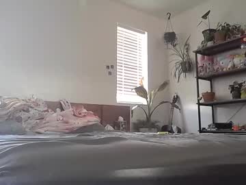 Prettypearl123 August 27, 2025 Chaturbate stream image