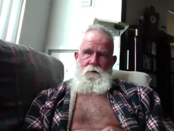 Beardbushy August 28, 2025 Chaturbate stream image