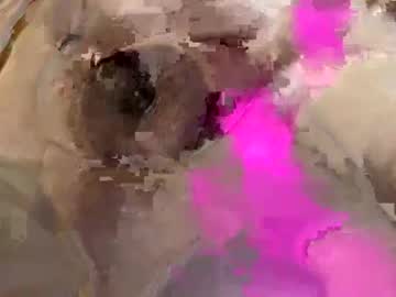 Glazehoney September 02, 2025 Chaturbate stream image
