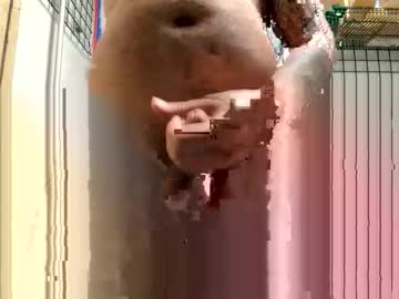Mnzo September 03, 2025 Chaturbate stream image