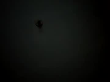 Lovelybrowncakes September 11, 2025 Chaturbate stream image