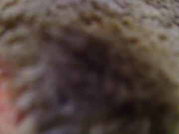 1tallhispanic13 September 17, 2025 Chaturbate stream image