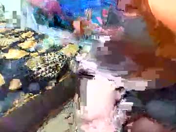 Annaxgoldx September 19, 2025 Chaturbate stream image