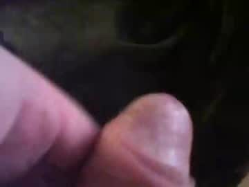 Bullemoe September 19, 2025 Chaturbate stream image