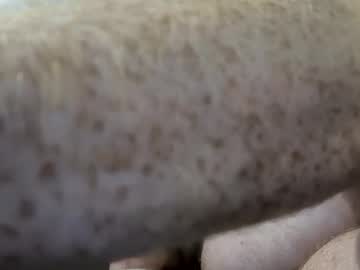 Hardinbelgium September 19, 2025 Chaturbate stream image