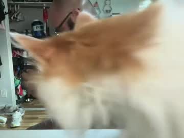 Uncutbeard129840 September 20, 2025 Chaturbate stream image