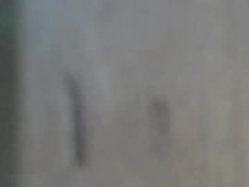 Glyder1961 September 22, 2025 Chaturbate stream image