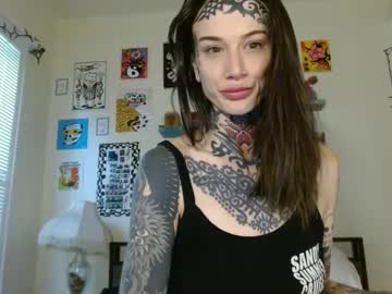 Caulkgobbler September 25, 2025 Chaturbate stream image
