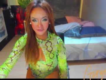 Misswet1wild September 28, 2025 Chaturbate stream image