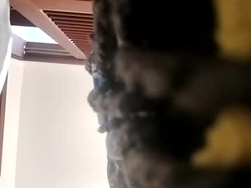 L3nababi92 September 28, 2025 Chaturbate stream image