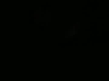 Chaseddaniels October 01, 2025 Chaturbate stream image