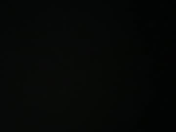 Lifebelikee October 01, 2025 Chaturbate stream image