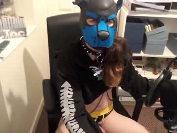 Pup_Gee October 01, 2025 Chaturbate stream image