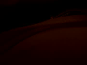 2025rob October 02, 2025 Chaturbate stream image