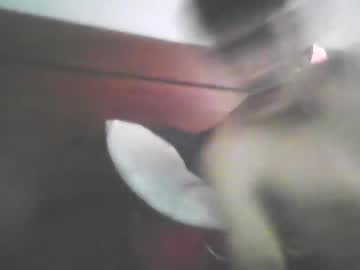 Can391413 October 02, 2025 Chaturbate stream image