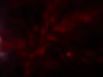 Kloelamaravilla18 October 04, 2025 Chaturbate stream image