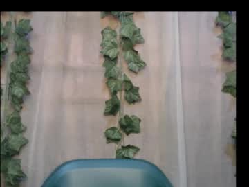 Dripqueenx October 04, 2025 Chaturbate stream image