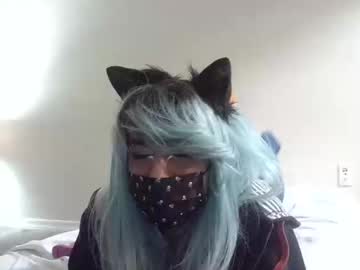 Twinkyteddy October 06, 2025 Chaturbate stream image