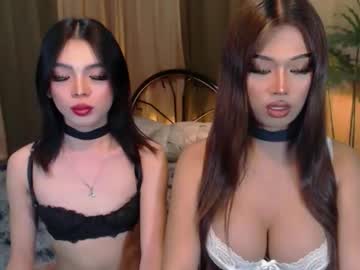 Twinktransshanel October 06, 2025 Chaturbate stream image