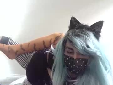 Twinkyteddy October 07, 2025 Chaturbate stream image