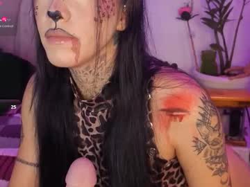 Korolovaa October 07, 2025 Chaturbate stream image