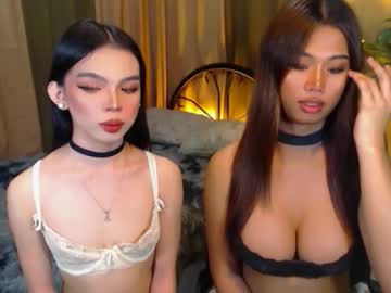 Twinktransshanel October 08, 2025 Chaturbate stream image