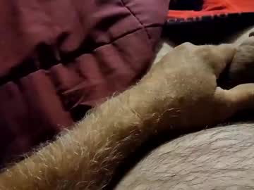 Slitlicke69696969 October 08, 2025 Chaturbate stream image