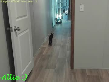 Allie__Kat October 11, 2025 Chaturbate stream image