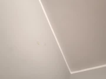 Adison95 October 12, 2025 Chaturbate stream image
