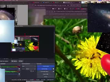 Jpsunflower October 13, 2025 Chaturbate stream image
