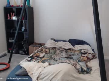 Tygersslave October 13, 2025 Chaturbate stream image