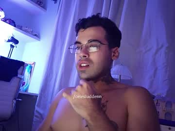 Celesluddenn October 14, 2025 Chaturbate stream image