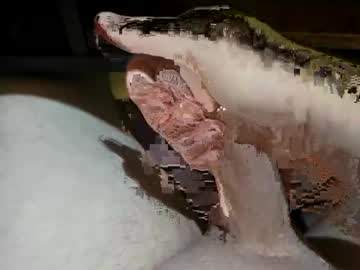 Princebwc October 15, 2025 Chaturbate stream image
