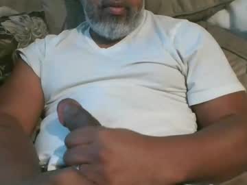 Shy333 October 16, 2025 Chaturbate stream image