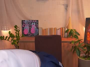 Edithbrucker stream photo from October 17, 2025