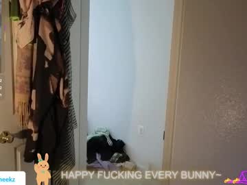 Bunnycheekz October 18, 2025 Chaturbate stream image