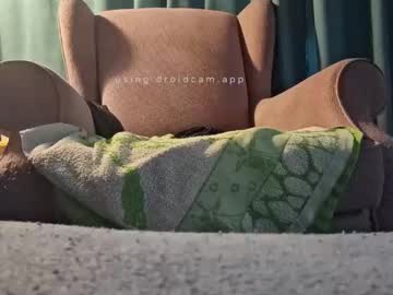 Bluealpakka October 19, 2025 Chaturbate stream image