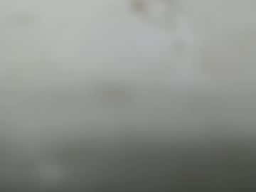 Junk_Yard_Dog October 19, 2025 Chaturbate stream image