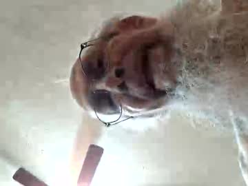 Rexwanker4everyone October 19, 2025 Chaturbate stream image