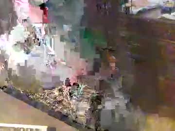 Scotthard October 21, 2025 Chaturbate stream image