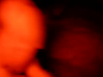 Macdad1219 October 23, 2025 Chaturbate stream image