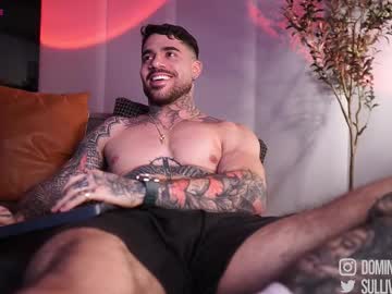 Dominic_Sullivan1 October 23, 2025 Chaturbate stream image